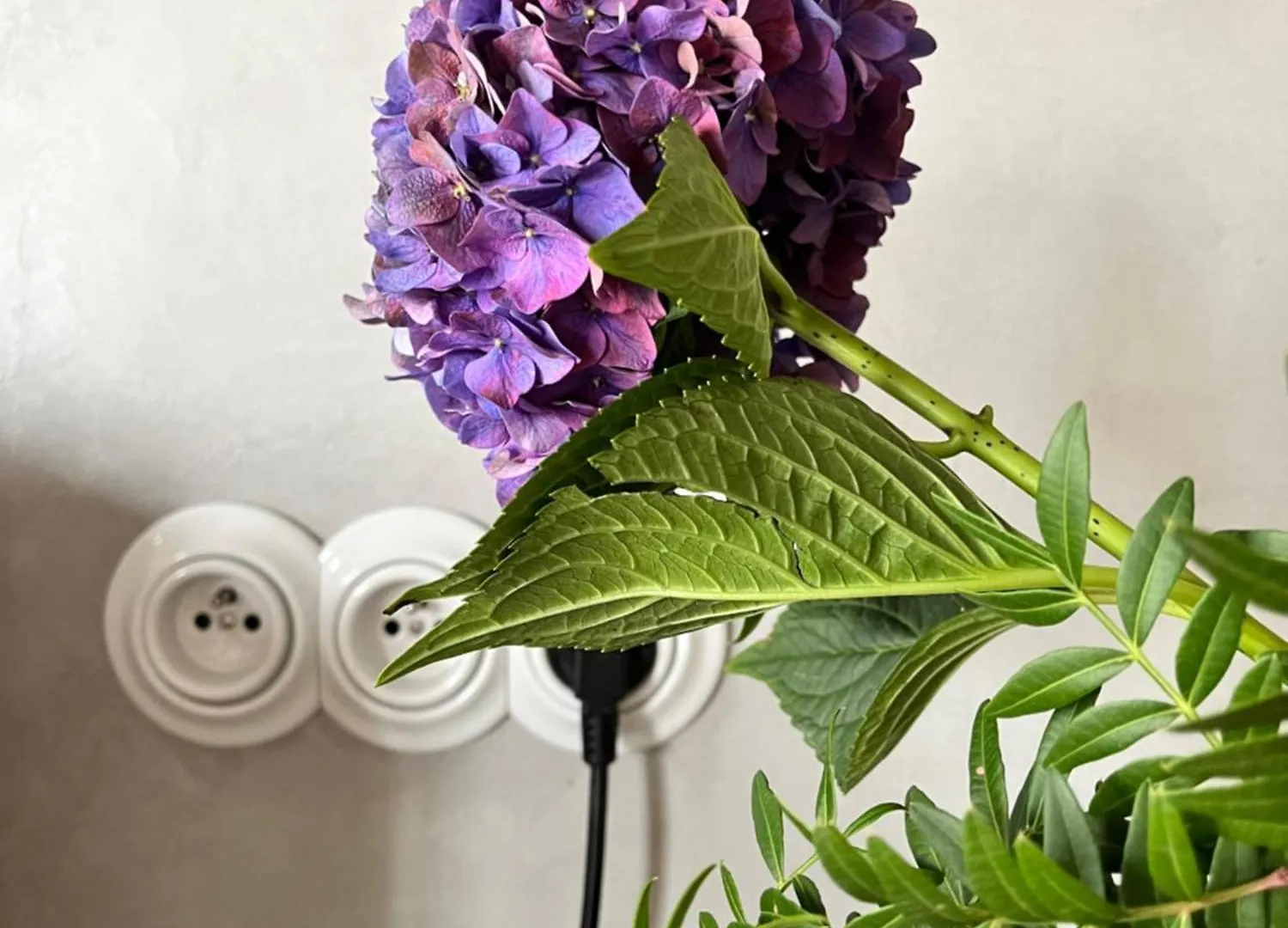 Appartement Heart Of Le Marais - Modern & Cosy Nest In The Old *